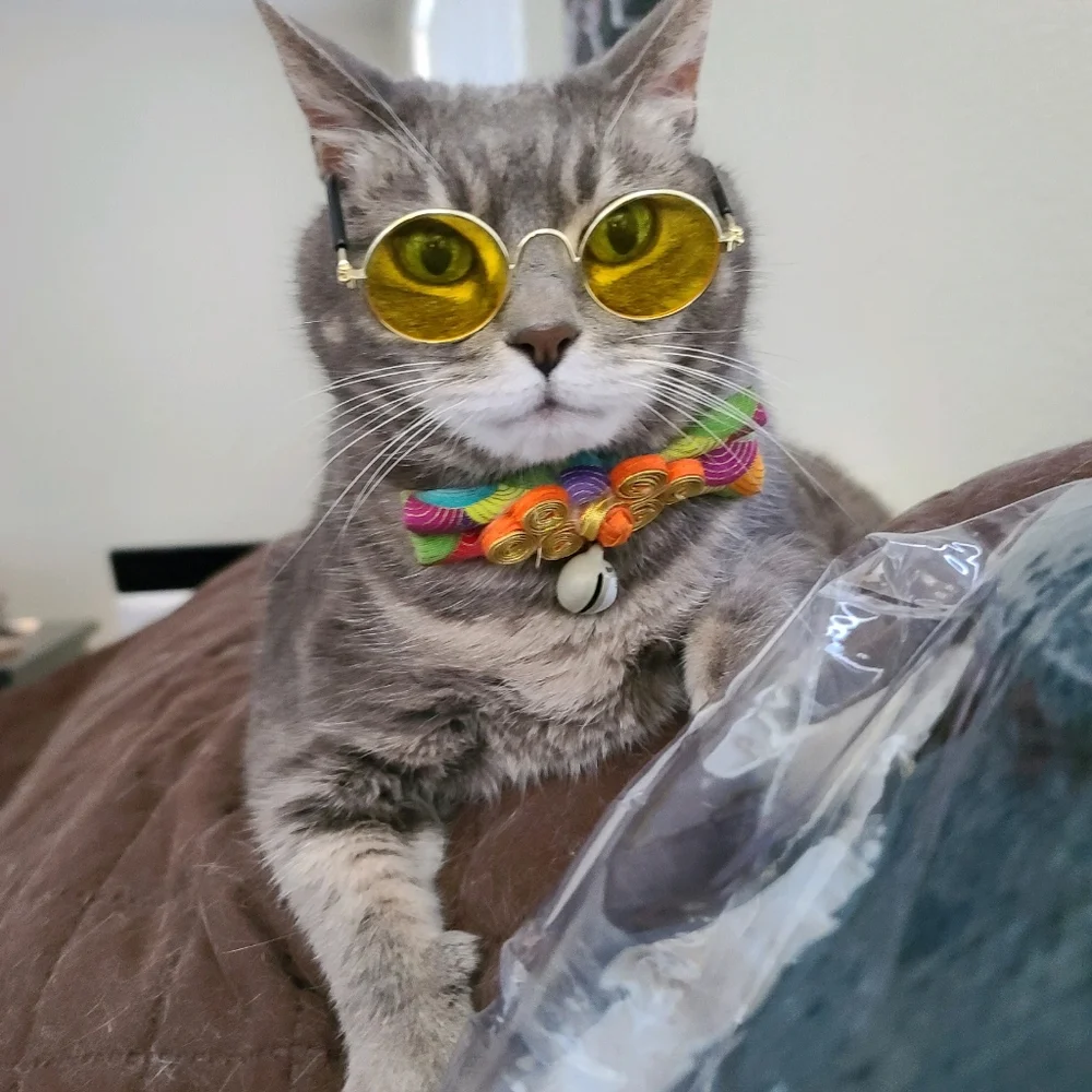 Small size cat/ small dog custom eye glasses and Qing dynasty Chinese outfit